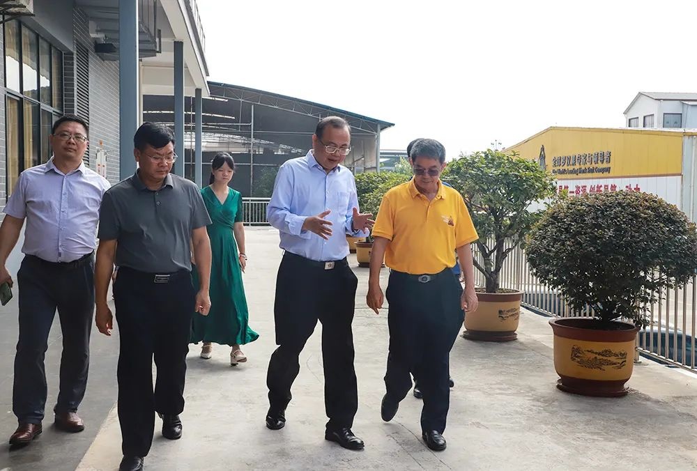 桂林吉福思羅漢果有限公司