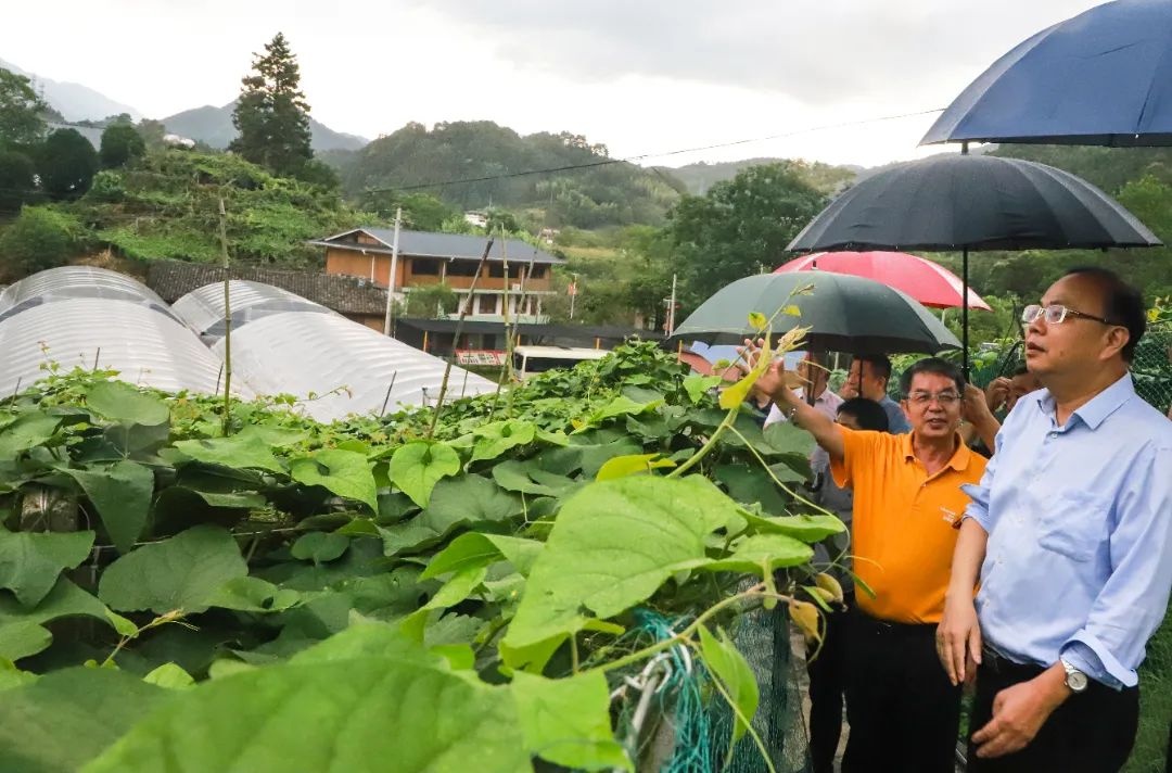 桂林吉福思羅漢果有限公司