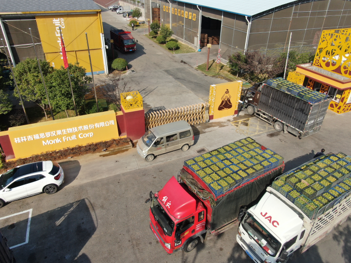 桂林吉福思羅漢果有限公司