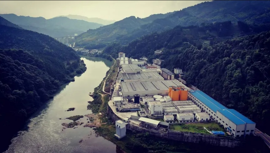 桂林吉福思羅漢果有限公司