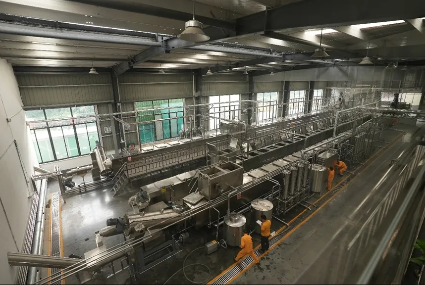 桂林吉福思羅漢果有限公司